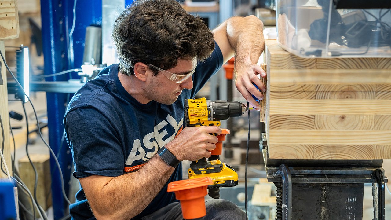 From sapling to shelter