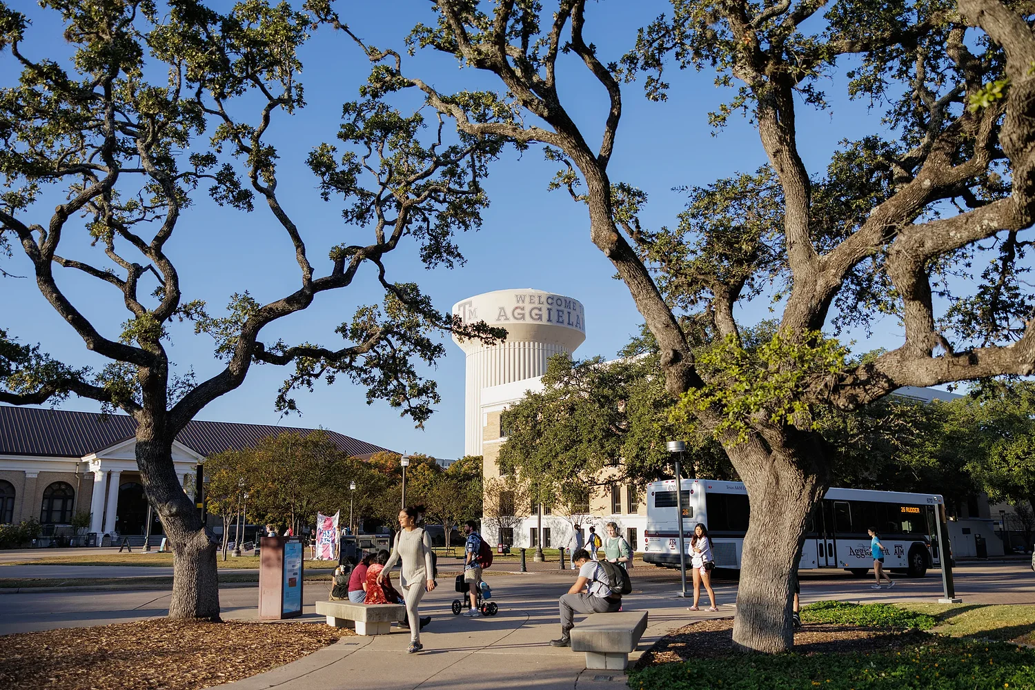 Texas college watchdog received nearly 70 complaints, opened one investigation, records show