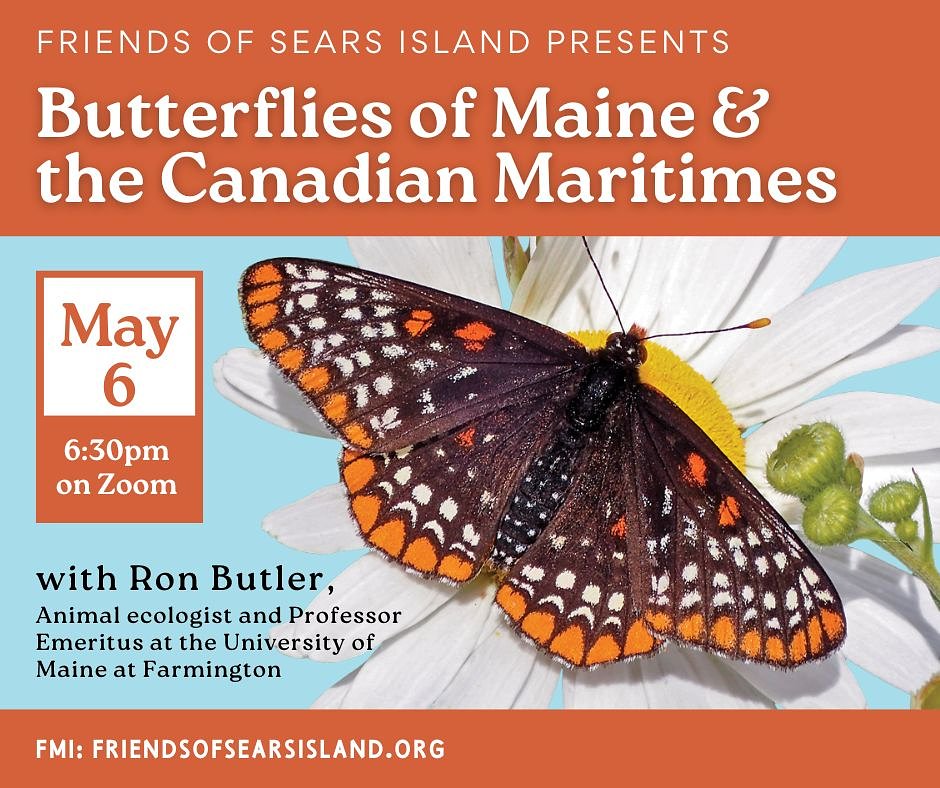 ‘Butterflies of Maine and the Canadian Maritimes’ Zoom presentation with Ron Butler