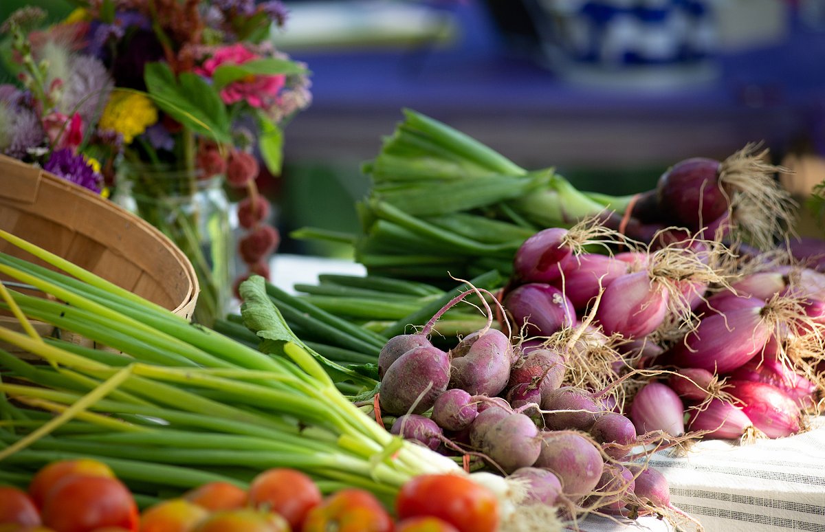 Ellsworth farmers market will open Saturday at new waterfront site