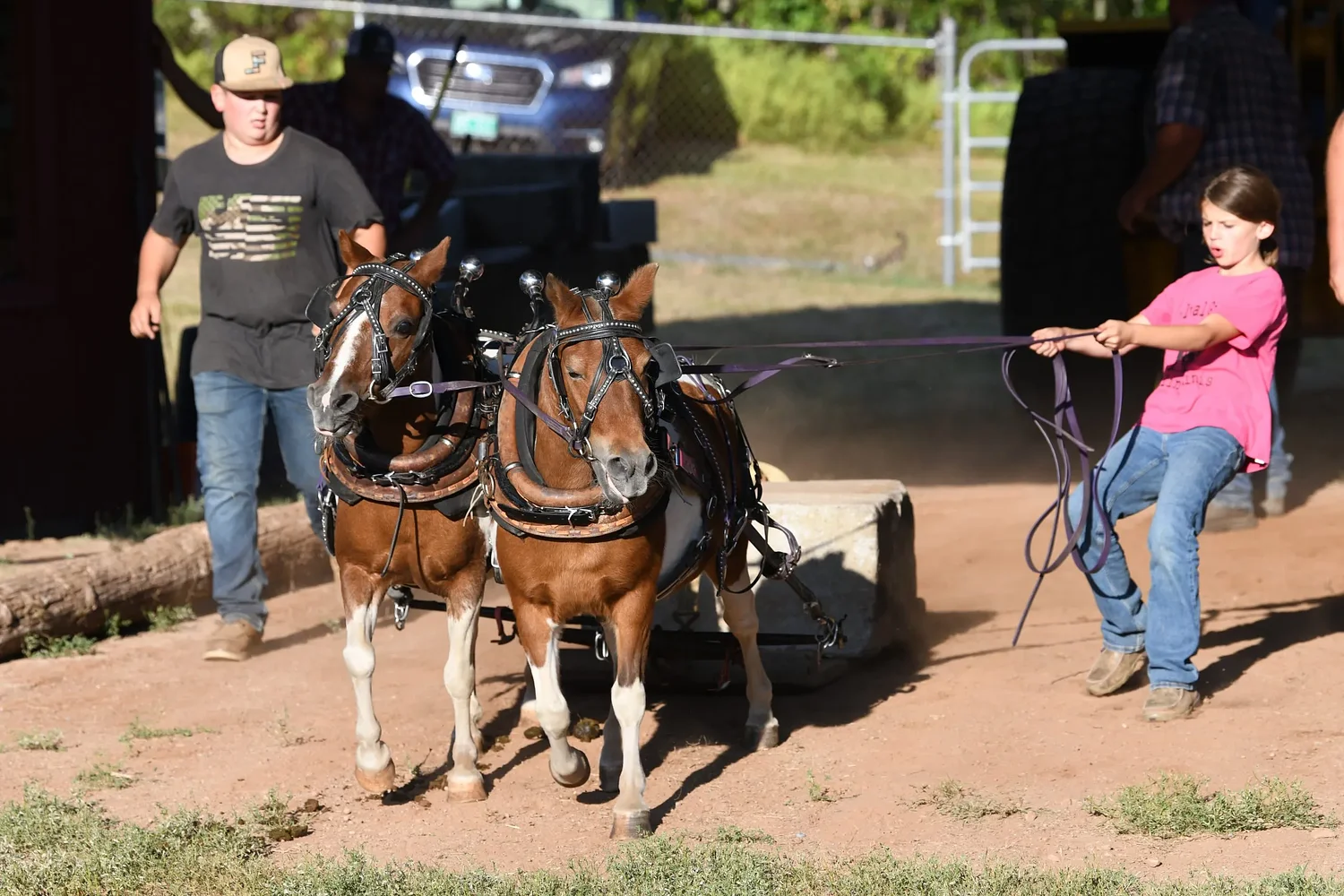 Tradition and community thrive at 107th Heath Fair