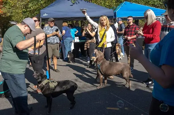 Area briefs: Tickets on sale for Dakin’s Barks & Brews fundraiser