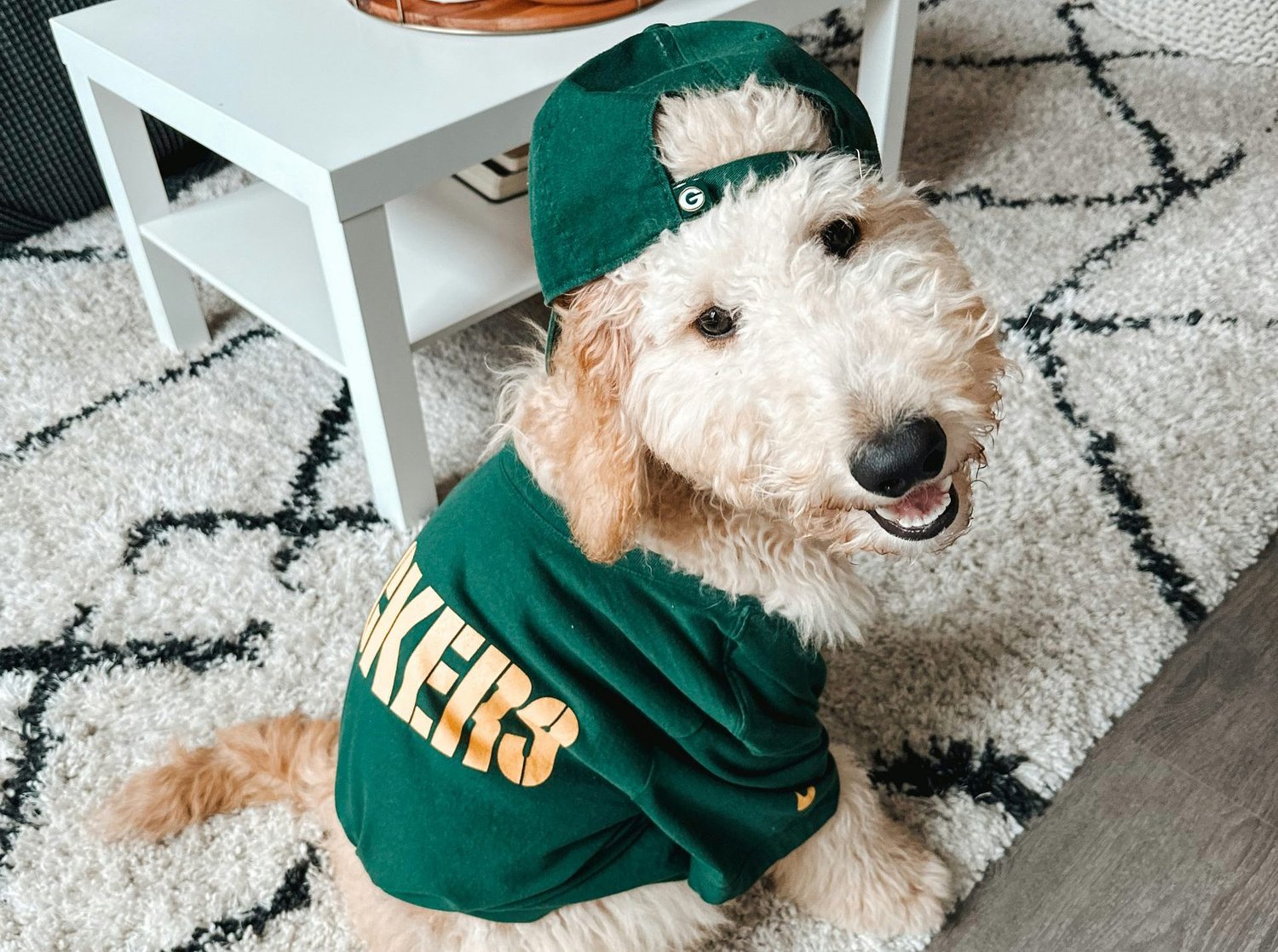 Inside LINK: You, too, can own LINK nky (just think Green Bay Packers)