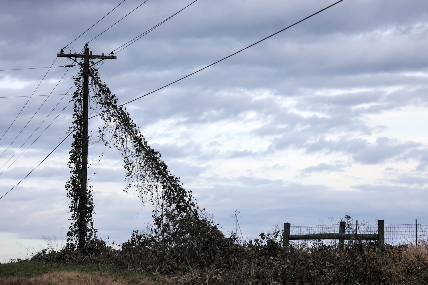 Holly Springs sues PSC for ‘unlawful authority’ over power issues