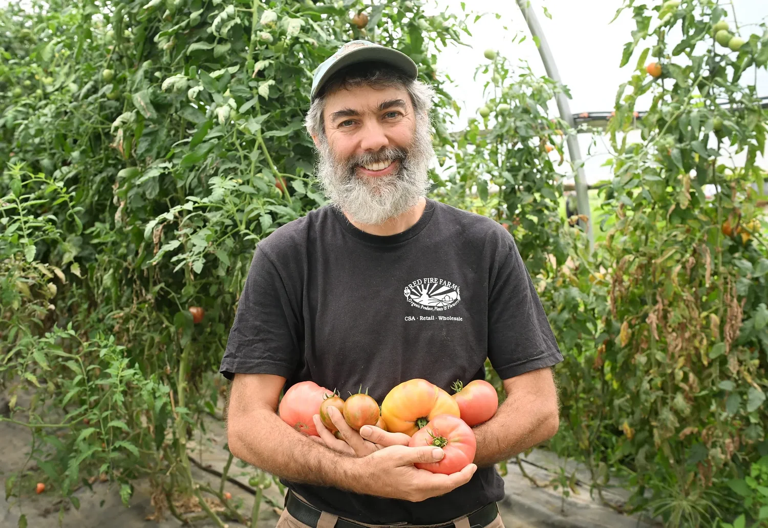 Tip-top tomatoes at Red Fire Farm: Two heirlooms earn accolades in statewide contest