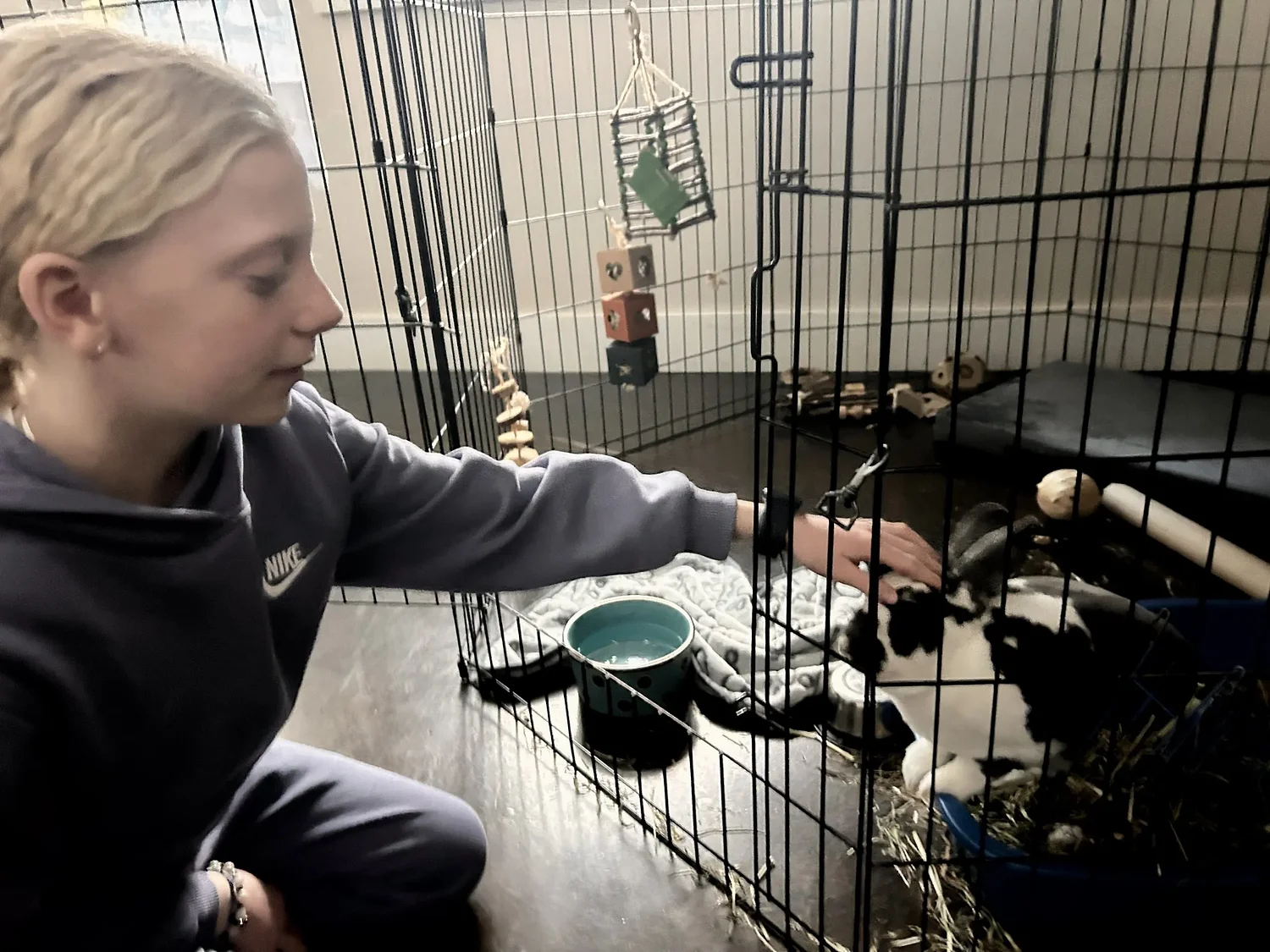 Kid governor Jade Adams wanted New Hampshire to ban animal testing. She might get her wish