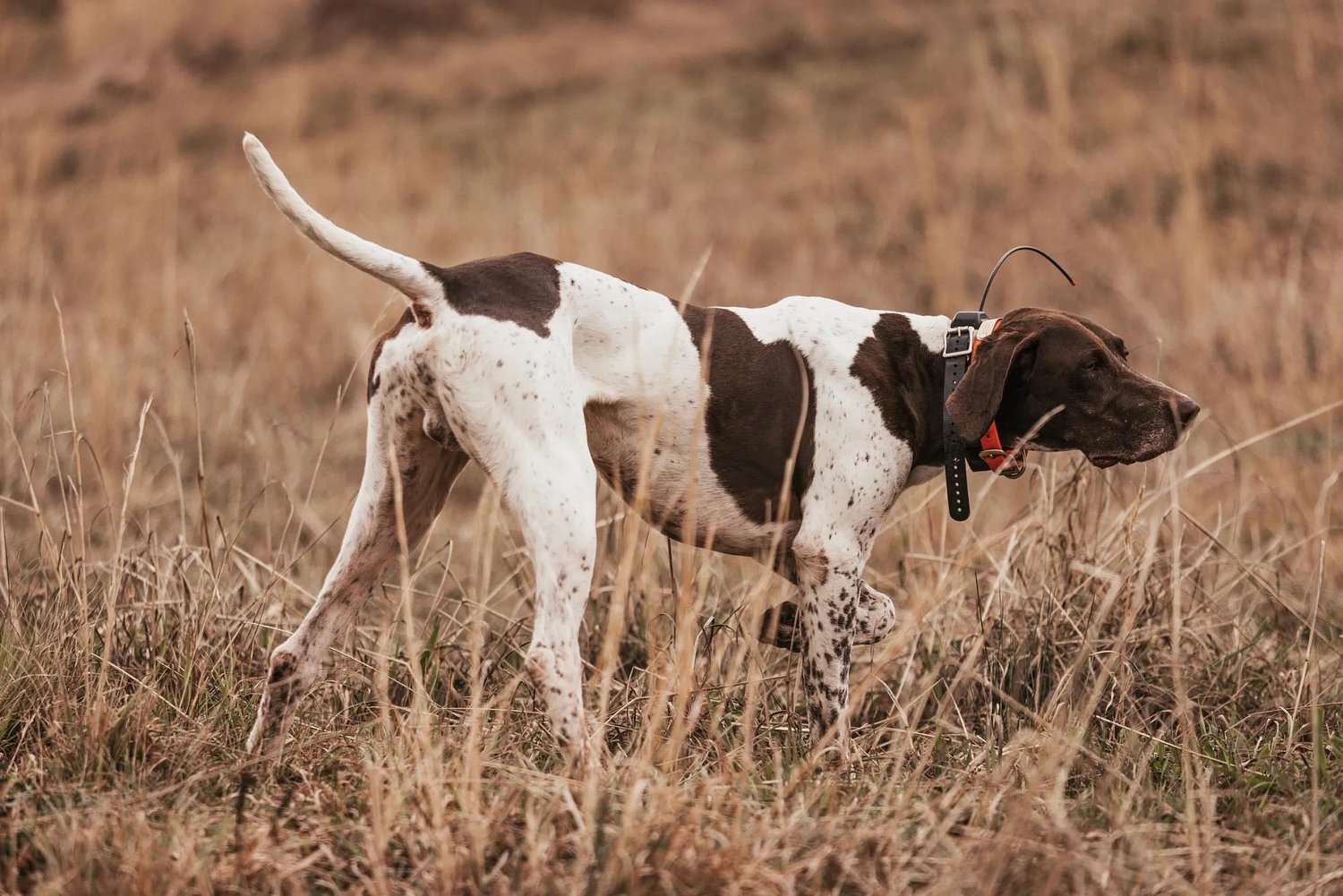 Pushback from farmers, hunters likely to kill ‘Fair Chase Act’