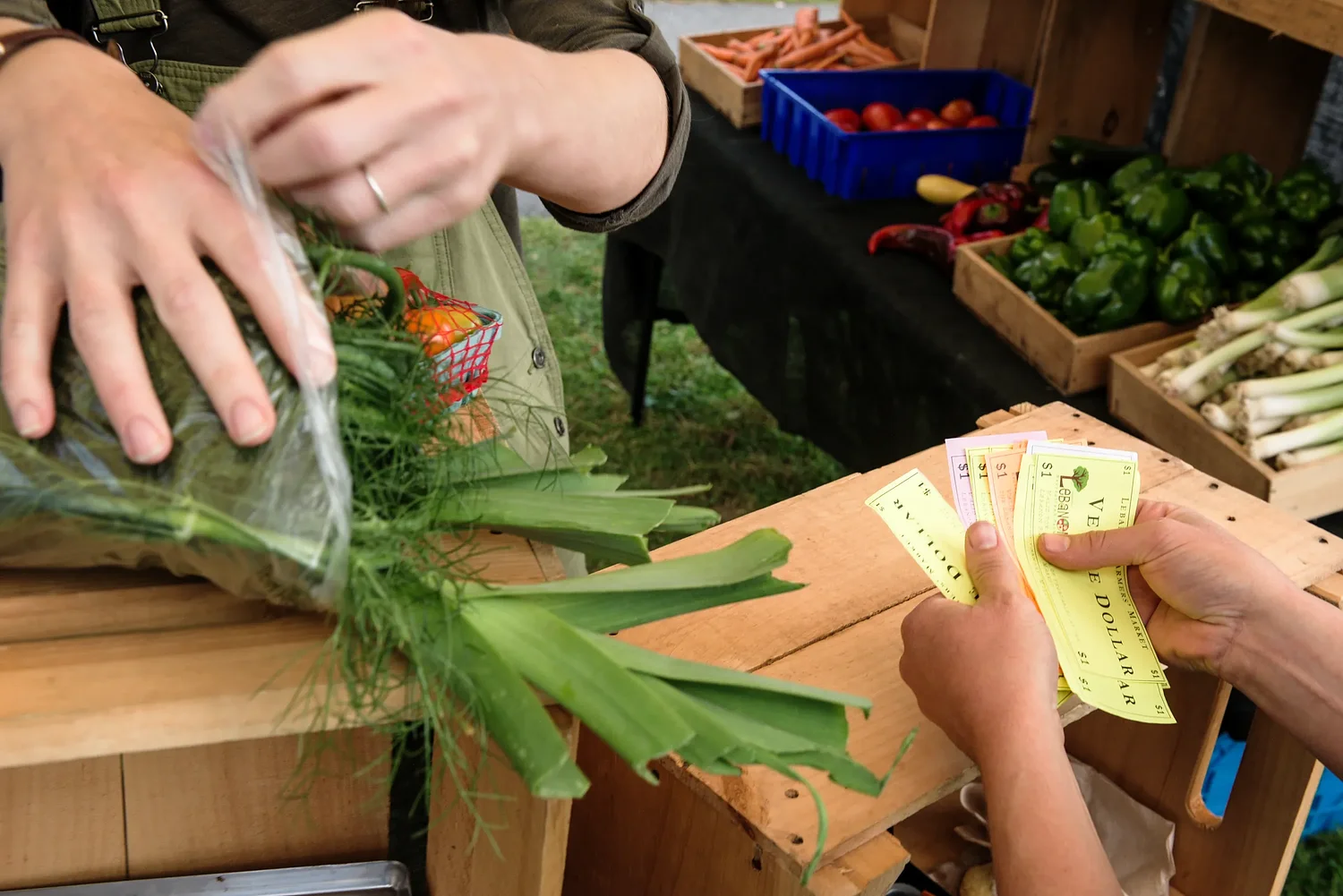 New Hampshire announces contingency plan for SNAP during government shutdown