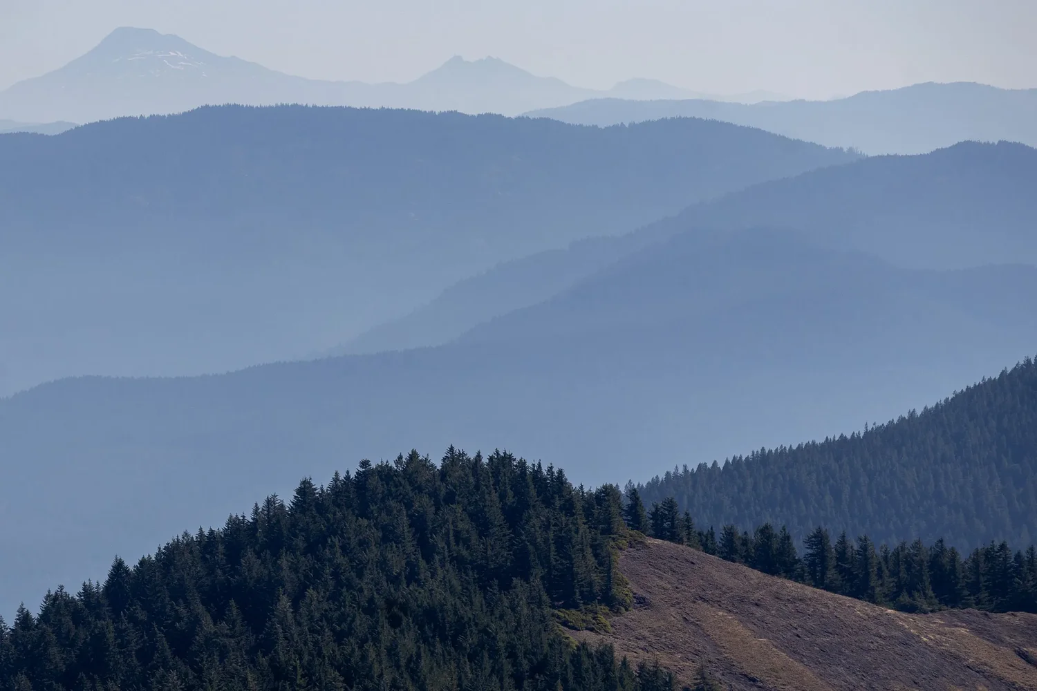 Forest Service delays public rollout of its proposed repeal of Roadless Rule