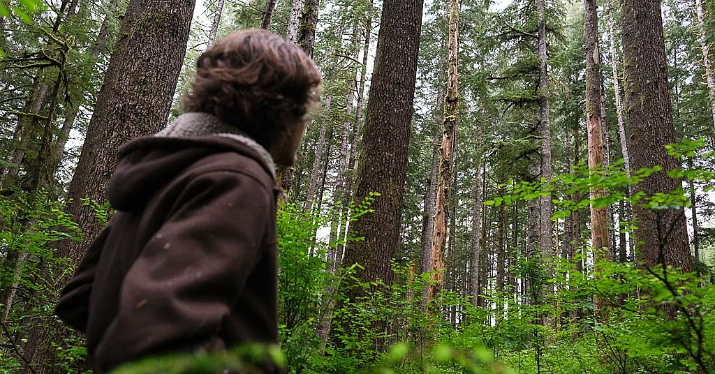 Is Washington DNR using big money to squash lawsuits?