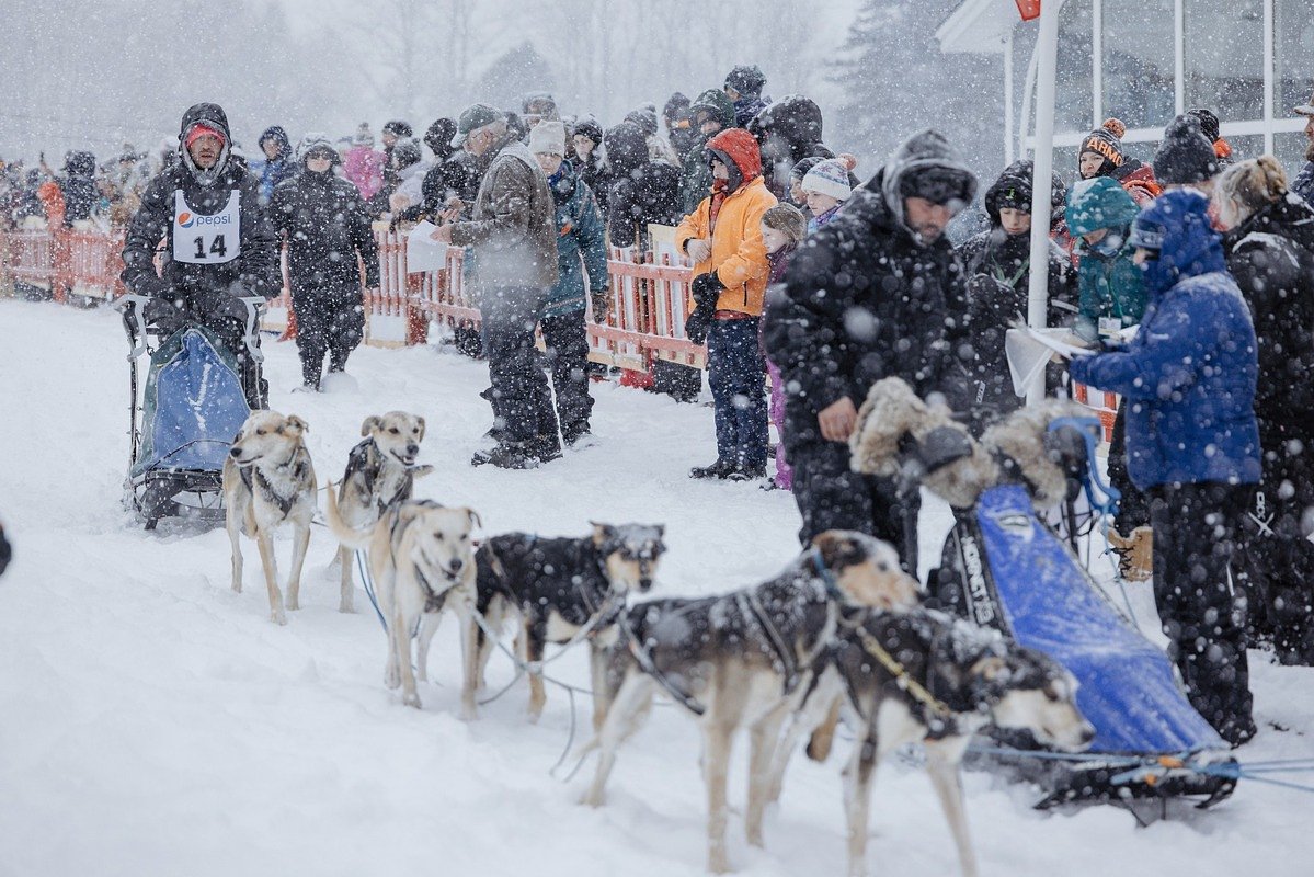 Weather looks solid for Can-Am sled dog races