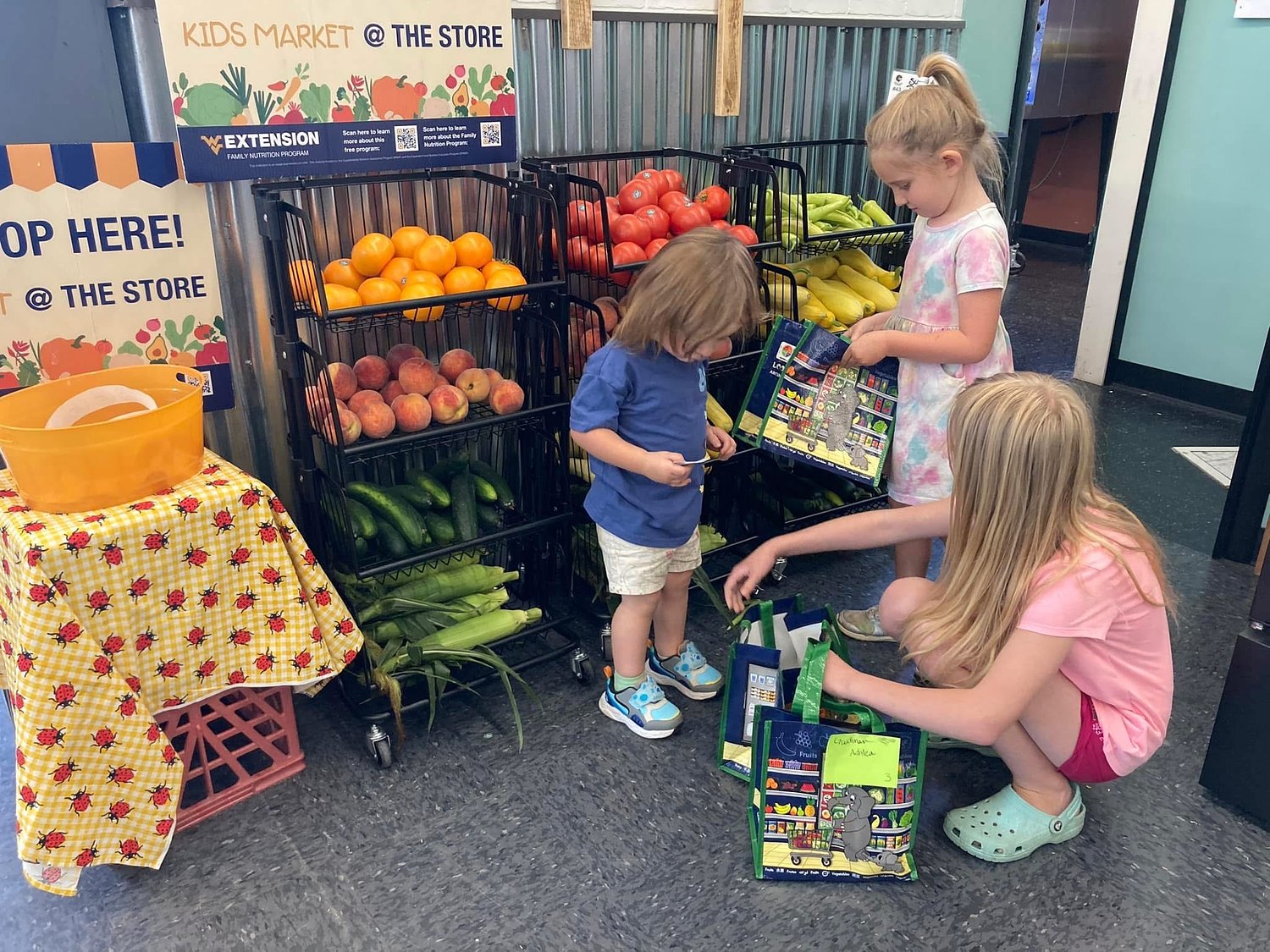 Fruit and veggie stands and gardening projects canceled this summer as Congress targets nutrition funding