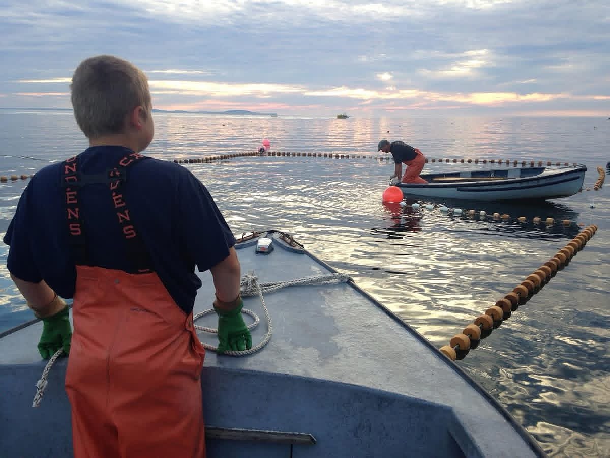 Labor complaint roils Maine lobstering community built on passing traditions to children