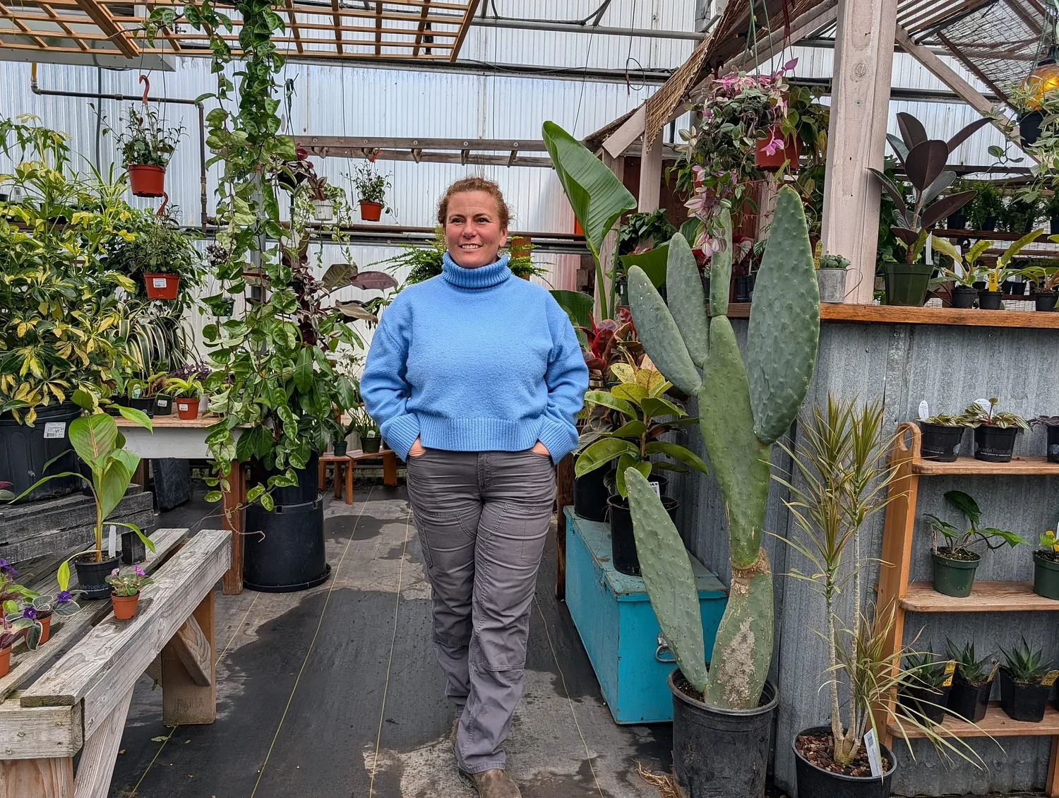 ‘Not just a store,’ Springfield plant nursery reopens under new owners