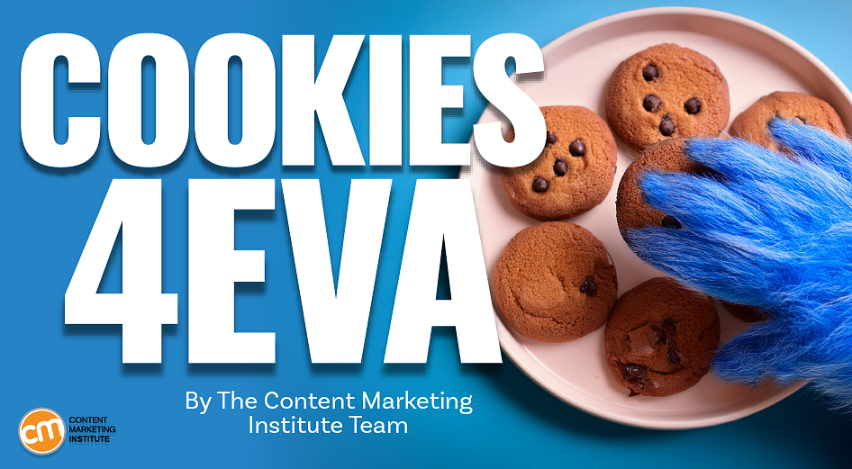 Google Drops Out of the Anti-Cookie Campaign. What’s Next?