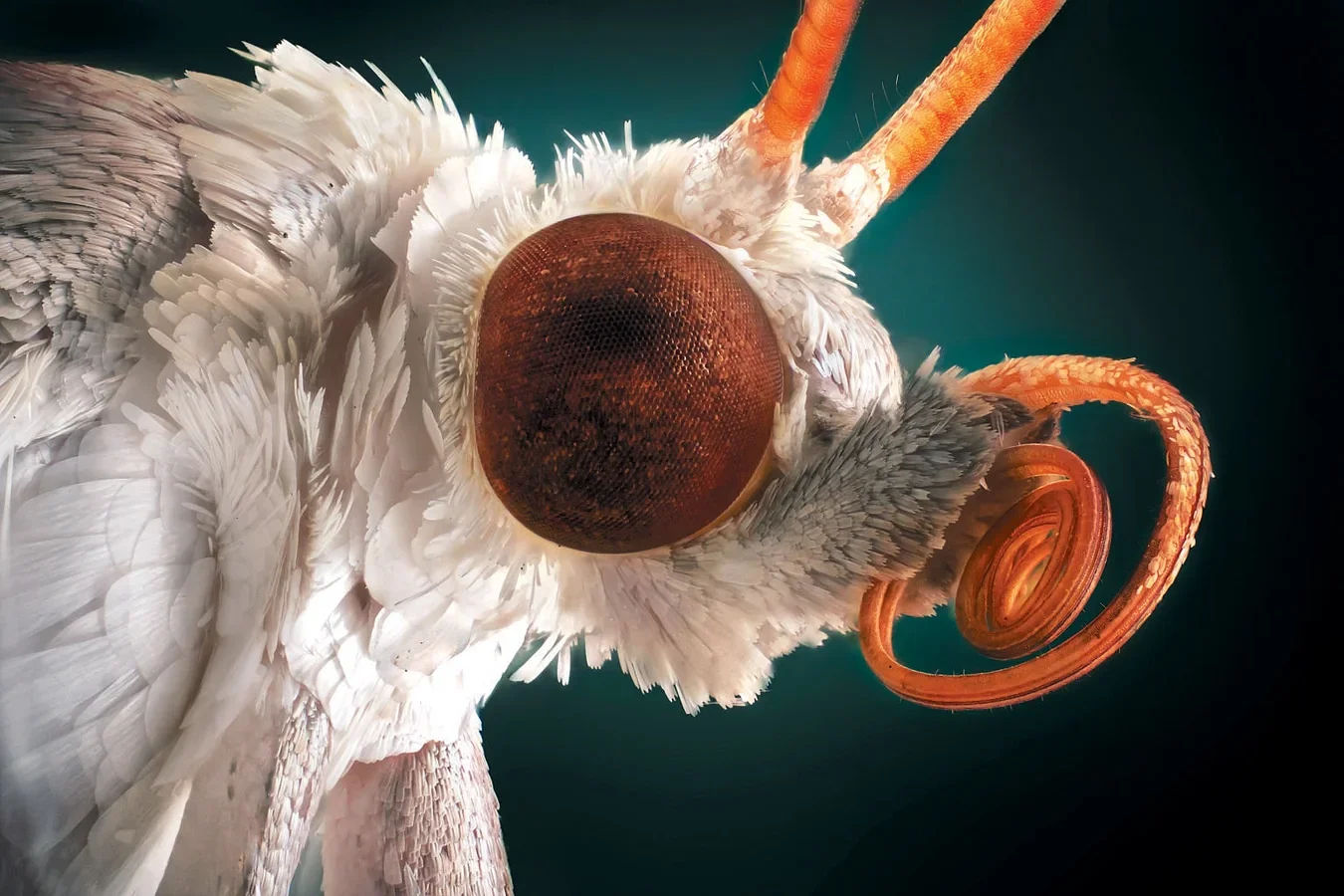 Airborne DNA Can Reveal Earth’s Biodiversity