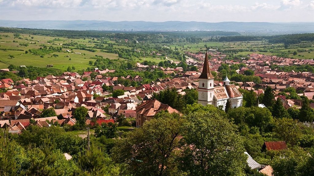 Orori în familie: un tânăr din Rășinari și-a amenințat mama cu moartea