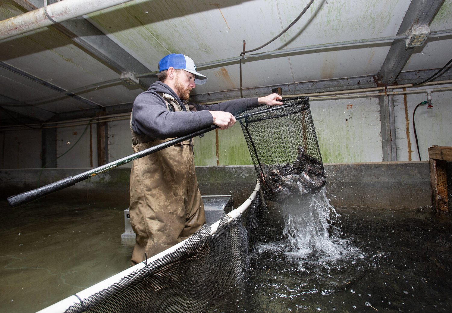 Nebraska fish and shrimp farmers swim against challenging tides
