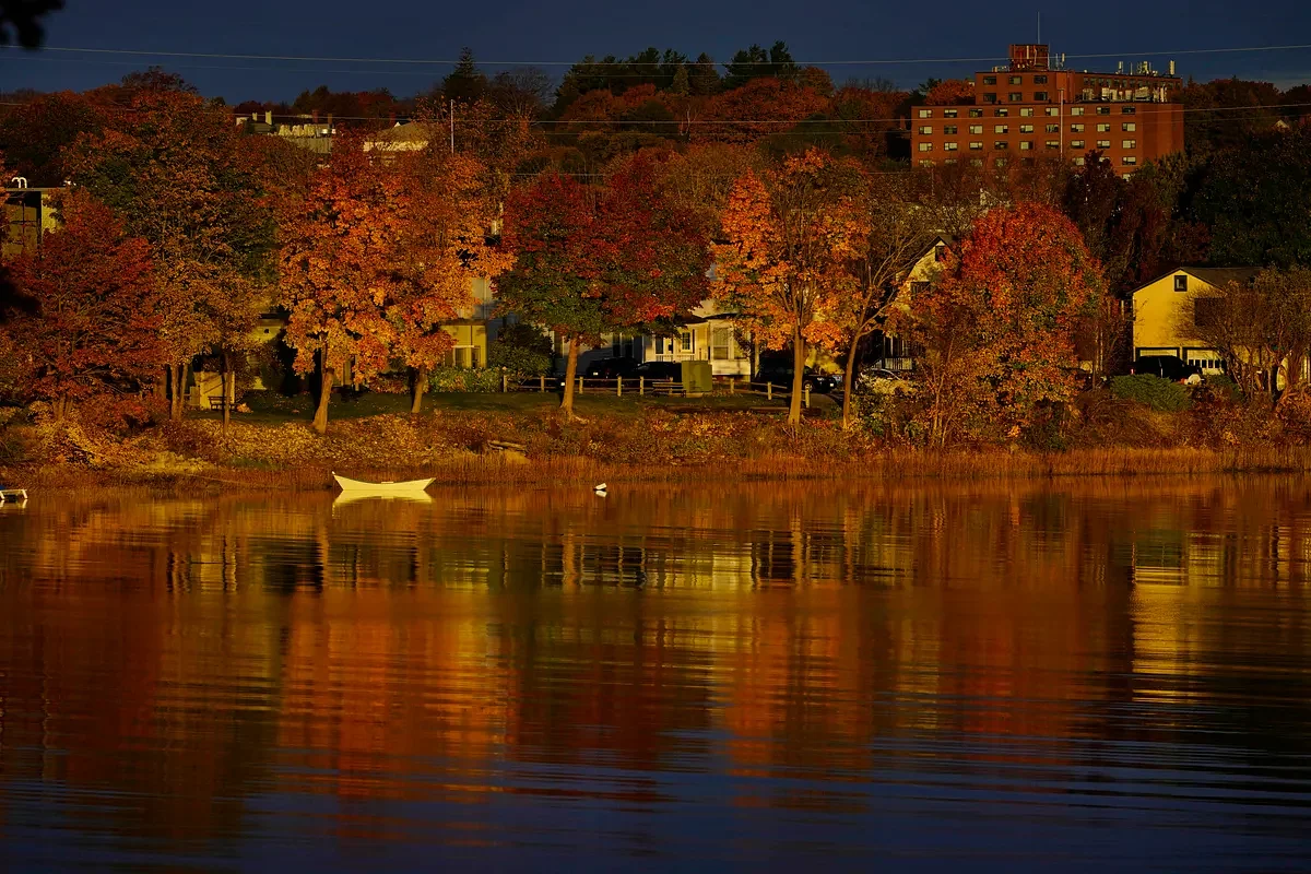 Jared Golden’s replacement / AI-sexual abuse image ban / Blueberry bailout