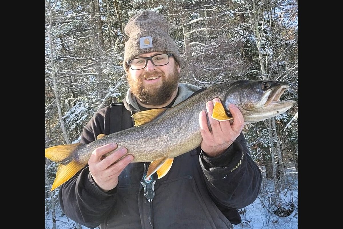 What is gravlax, and what to do with your lake trout this winter
