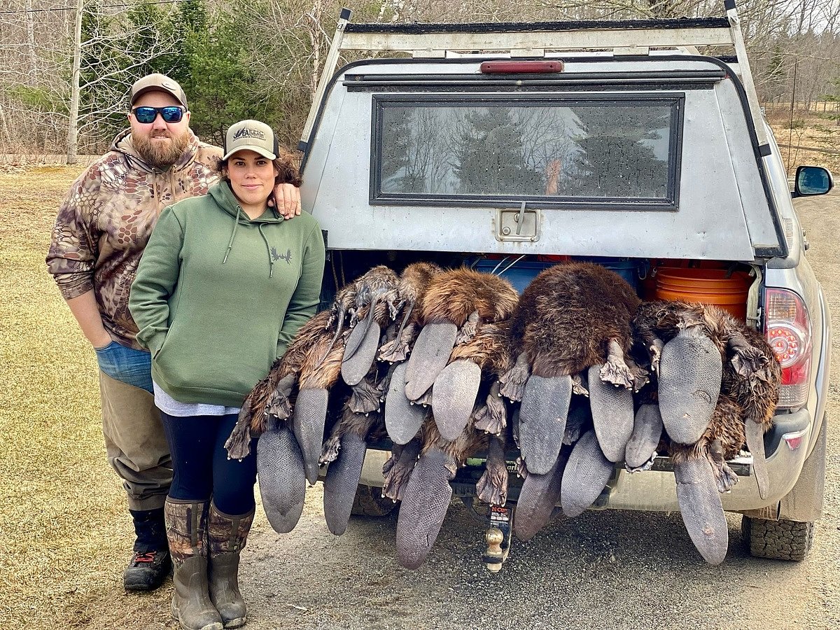 Maine trappers brace for Etsy fur ban
