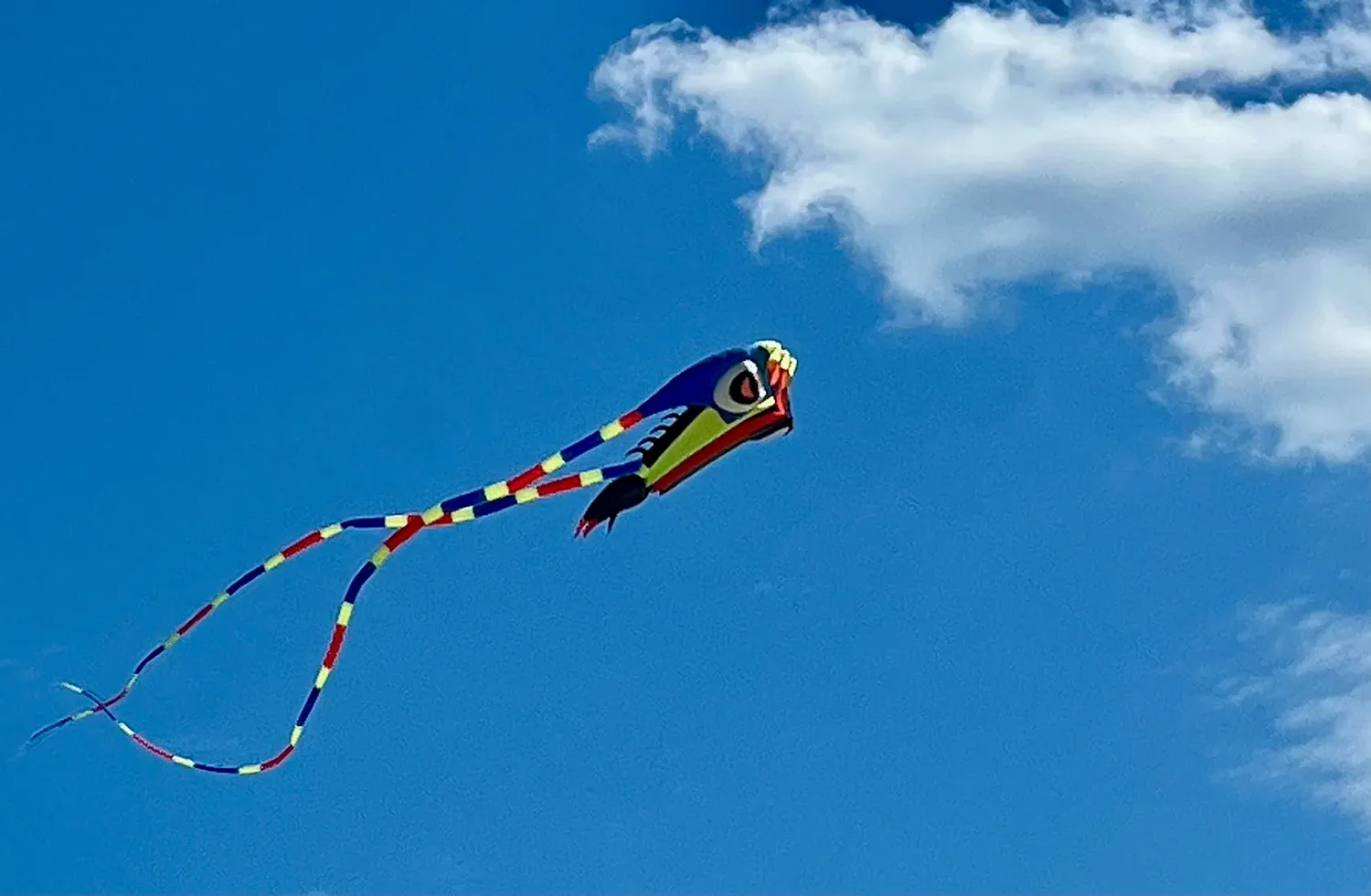 Vintage Views: The lure of the kite