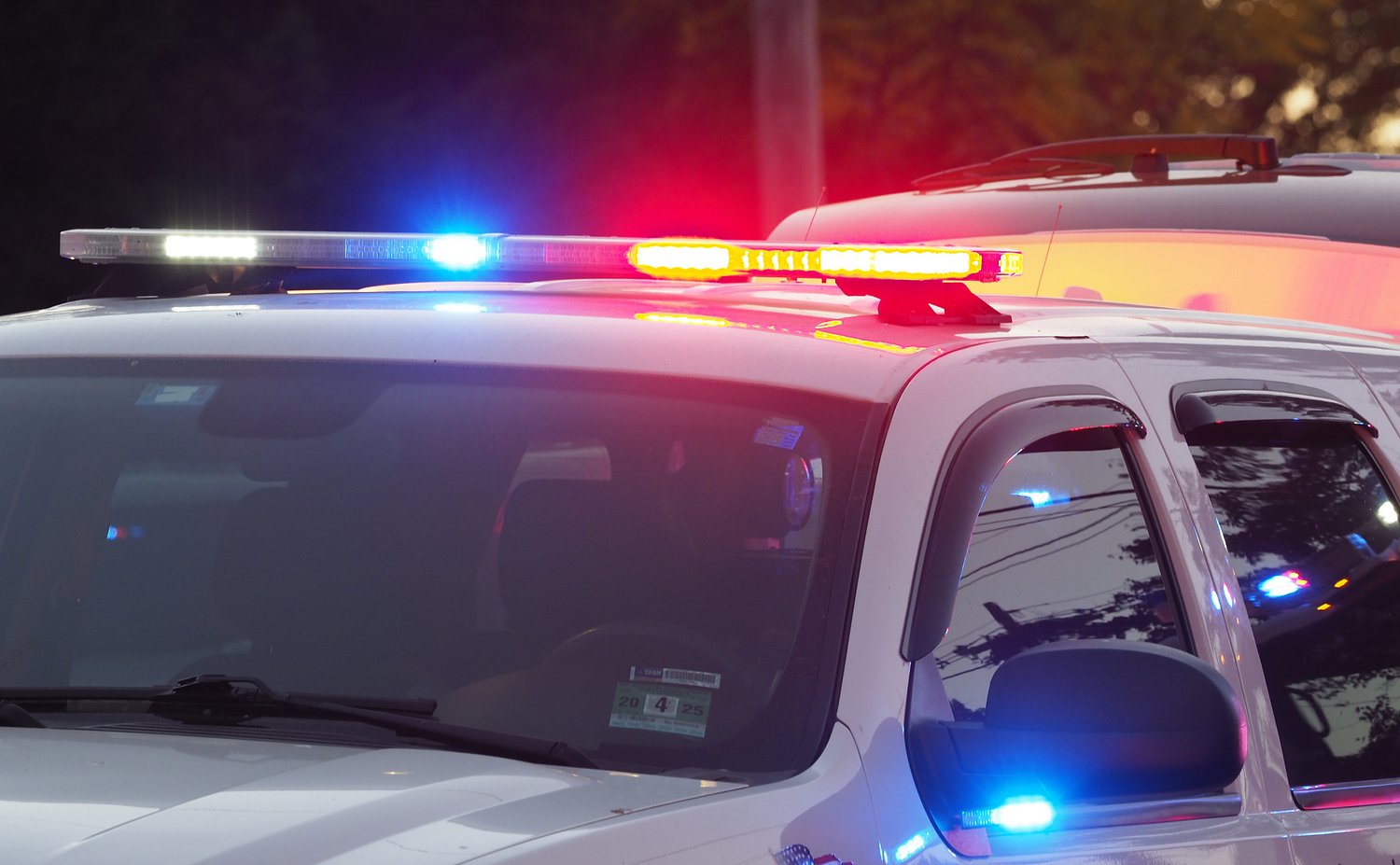 Phillipsburg motorcyclist seriously injured when bear enters I-78