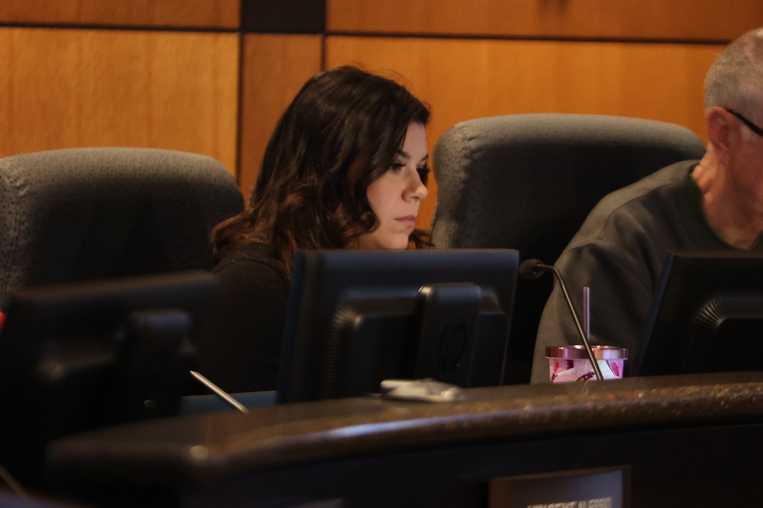 Roehr gets city job; Joliet names replacement on plan commission and zoning board