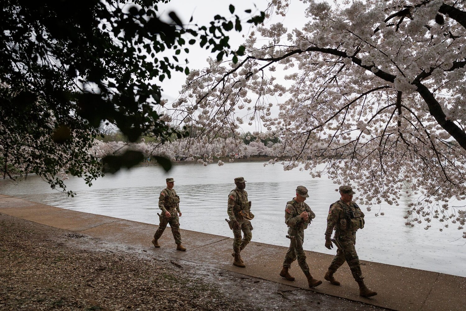 Photo gallery: Mississippi National Guard in Washington during peak cherry blossom time