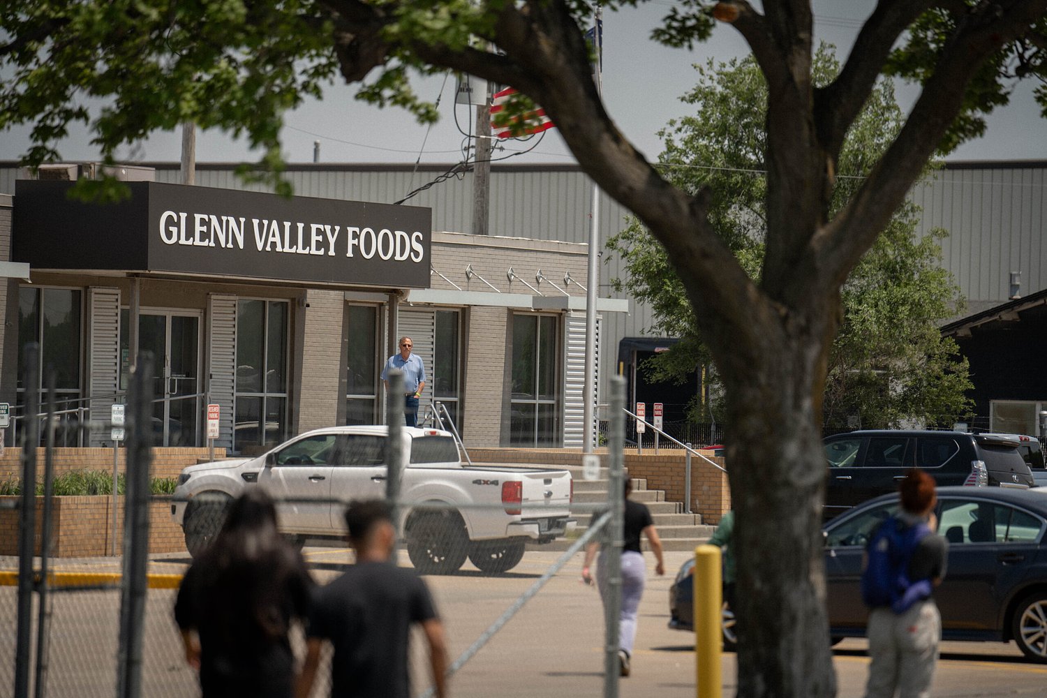 'Unintended consequence': E-Verify aimed to stop unauthorized workers. It might be fueling more fraud.