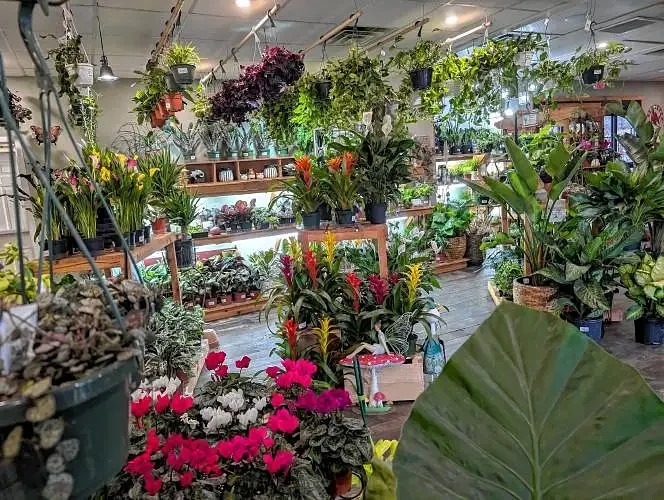 Arts Ahead: Jump into January with music, plants, art and more