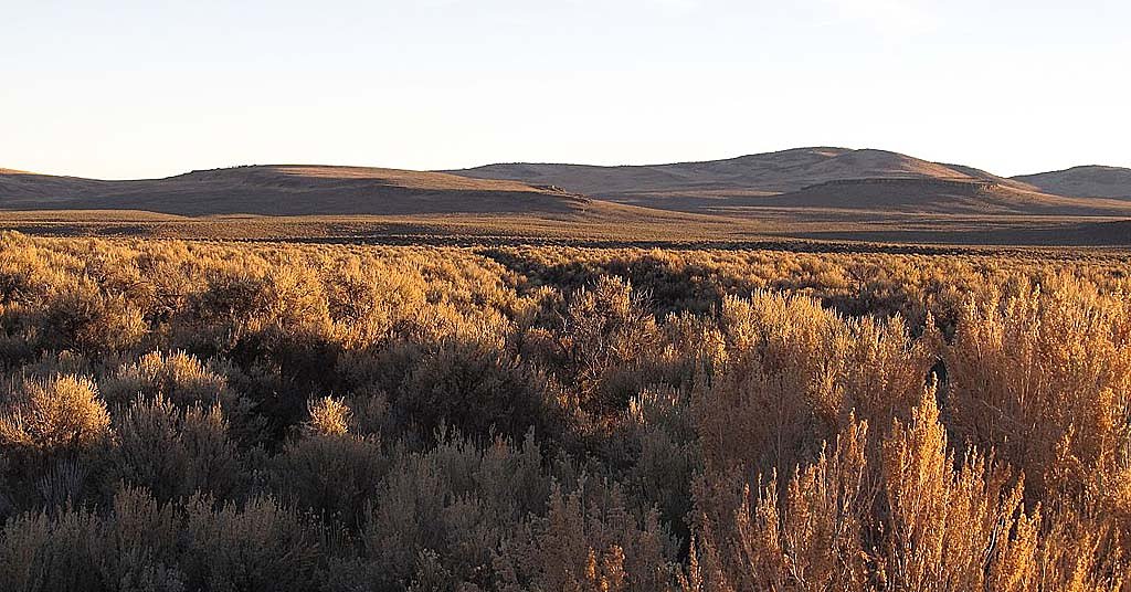 Enviros, feds agree to protect a huge chunk of wild habitat