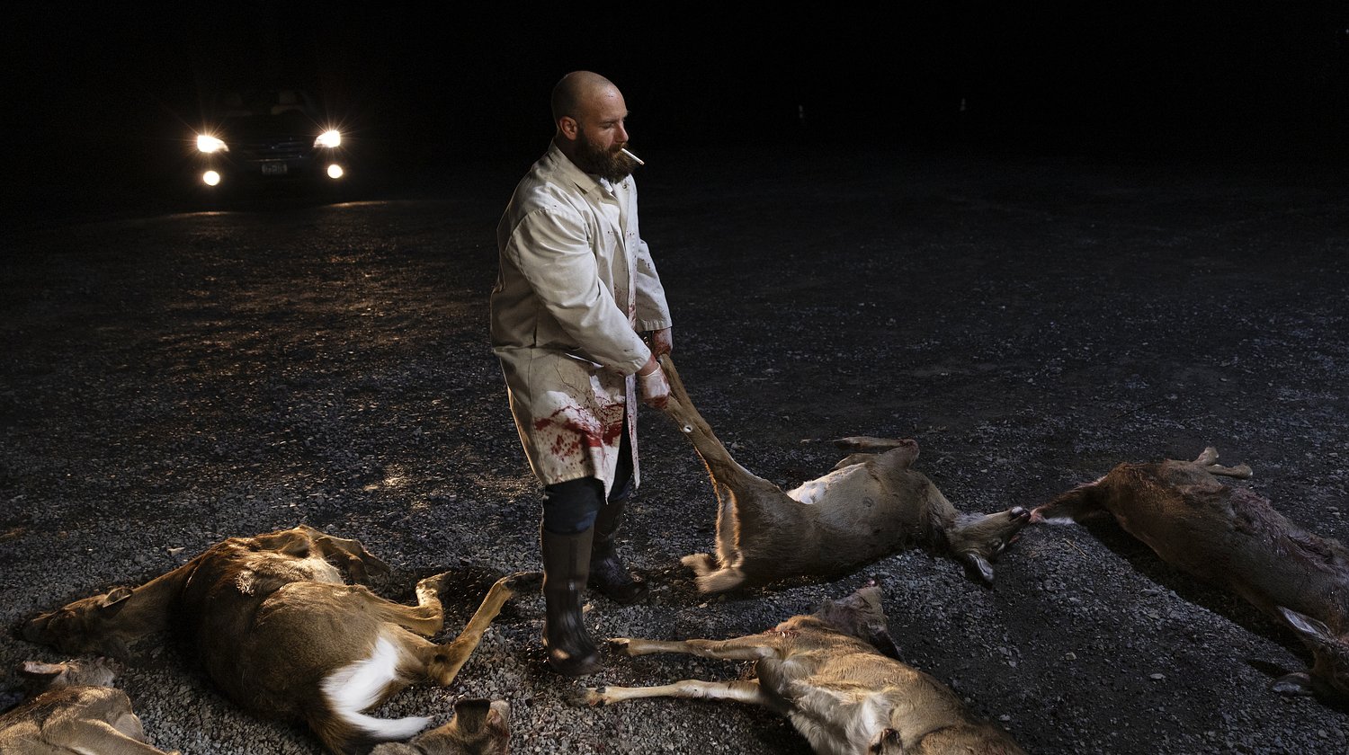 Inside the Syracuse slaughterhouse where nuisance deer become food for thousands