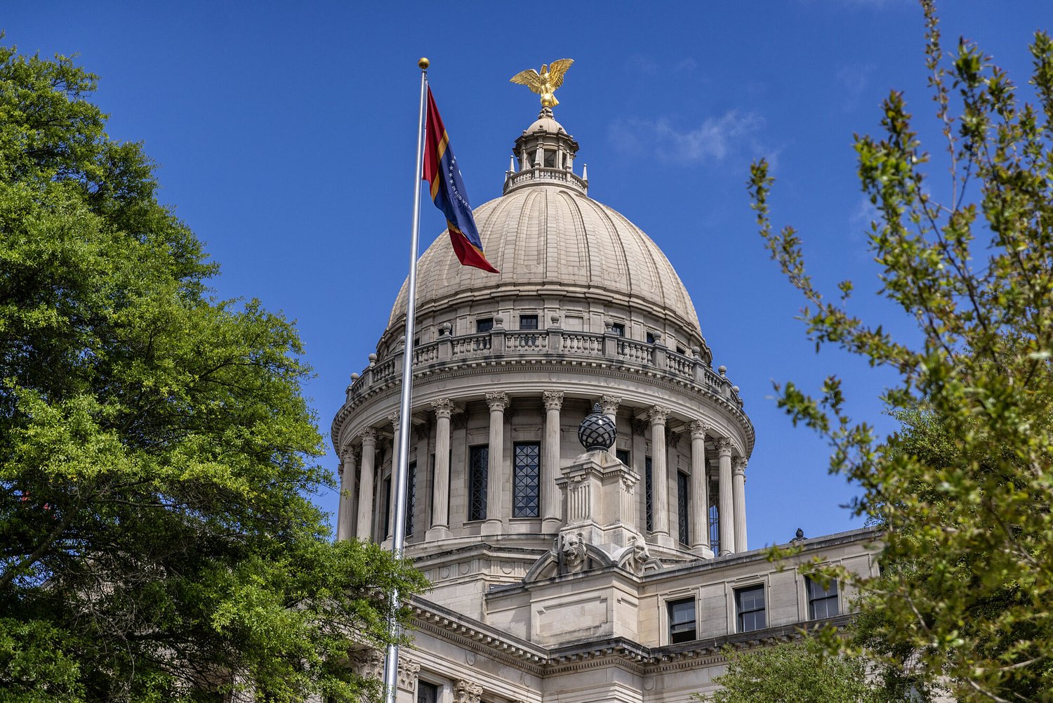 Gov. Reeves sets special elections after deaths of two House members