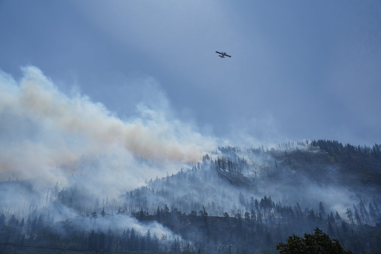 Oregon just declared a state of emergency for wildfires, and officials say conditions will only get worse