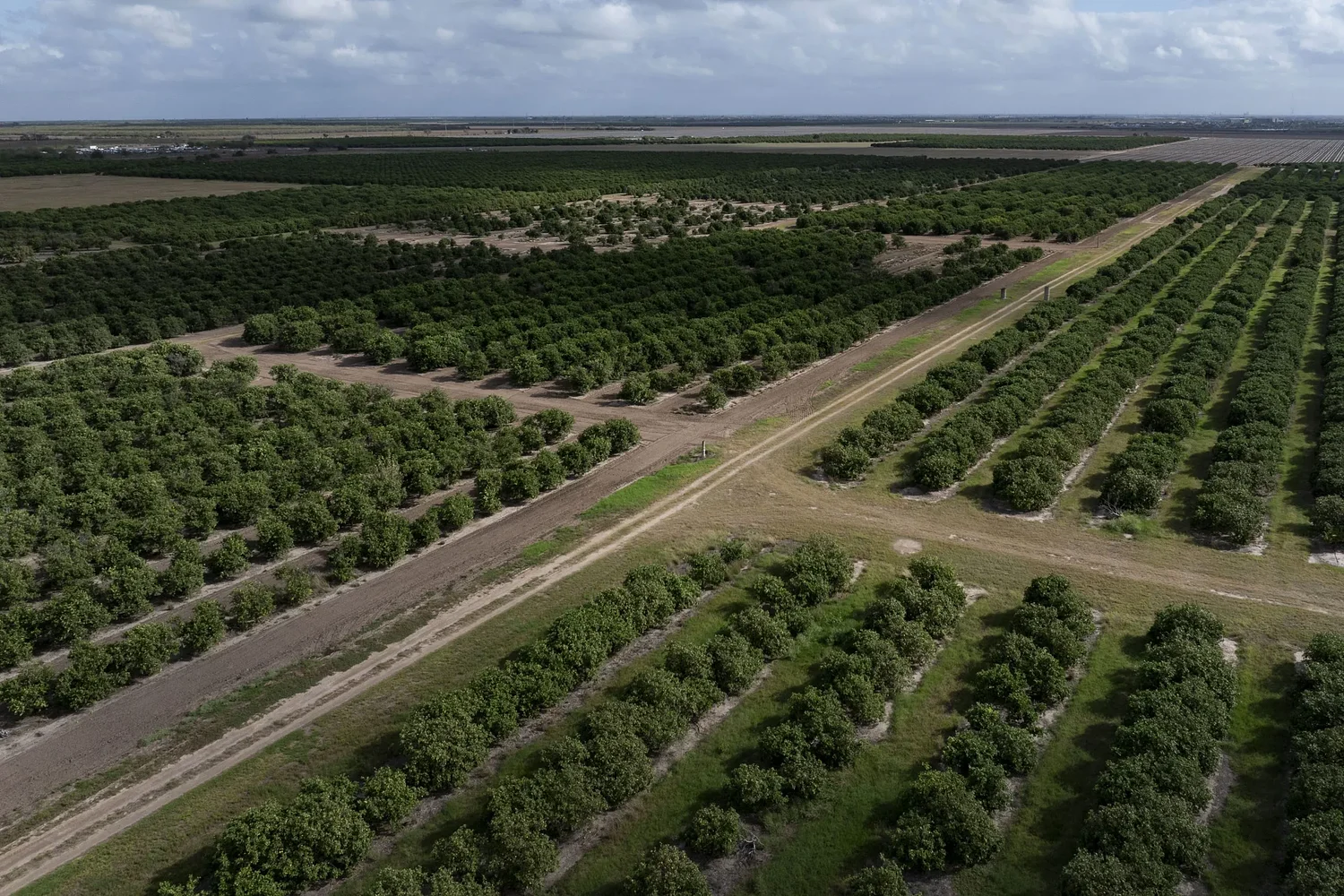 Texas’ congressional delegation wants Trump to punish Mexico for missing key water deadline