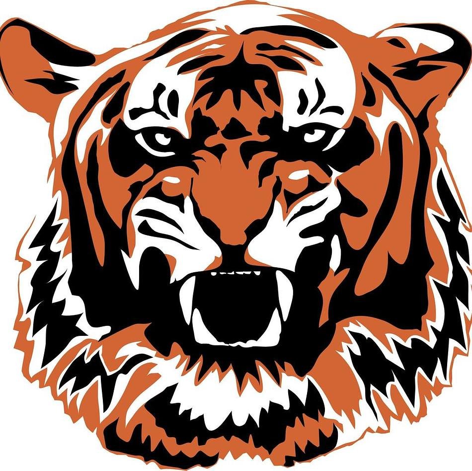 Early hole sinks Crystal Lake Central co-op girls lacrosse in sectional final loss to Barrington
