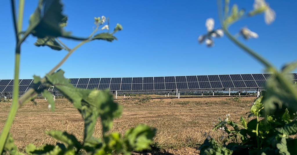 A new idea could ease tensions between farmers and solar energy developers