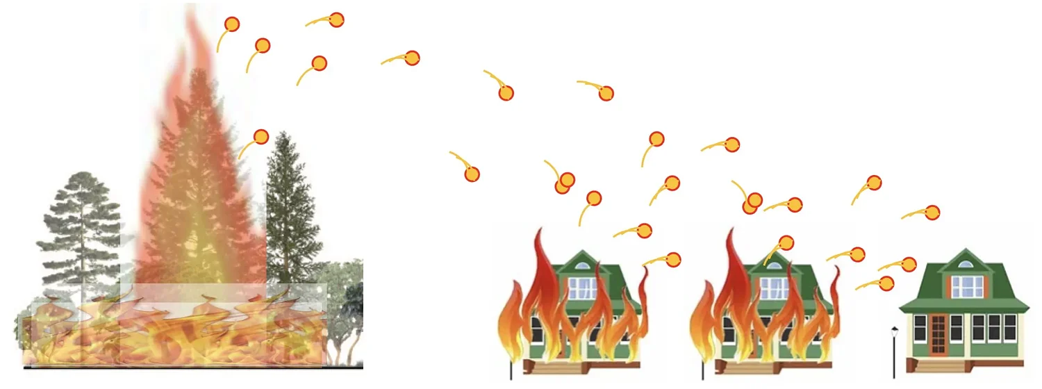 ‘Creating beautiful, productive, manageable landscapes that are fire-wise, fire-smart’
