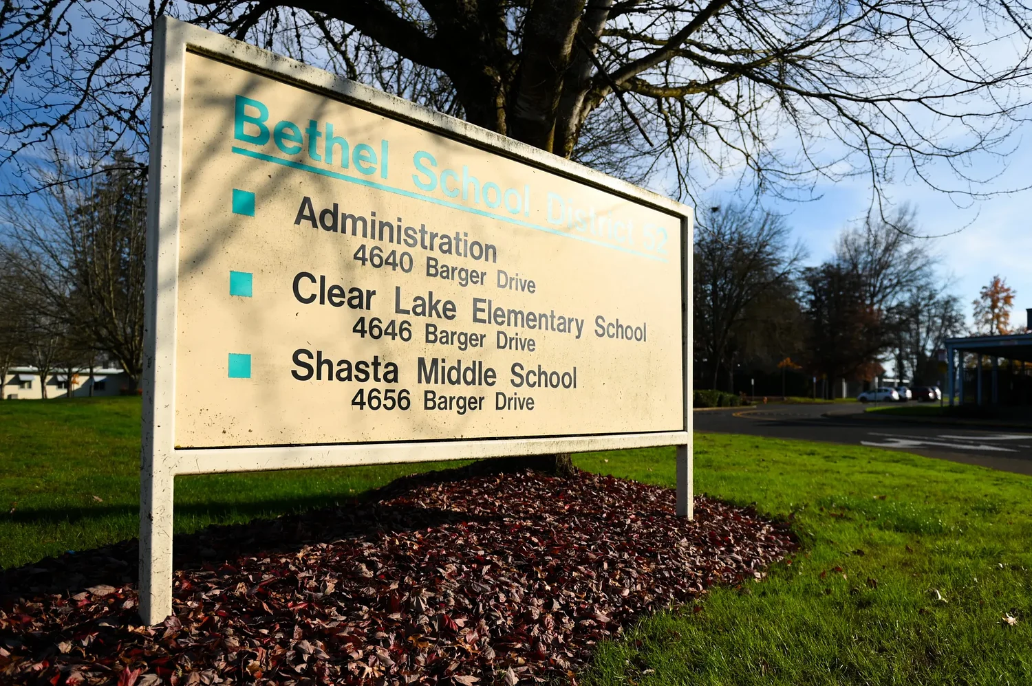 Bethel students to receive free library cards through their schools