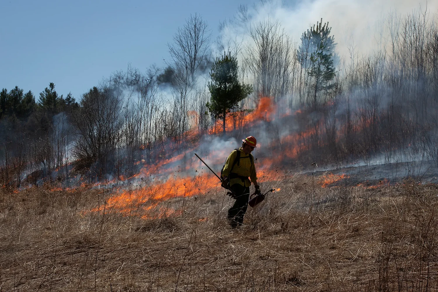 Forest Service uses controlled burns for wildlife and wildfire prevention