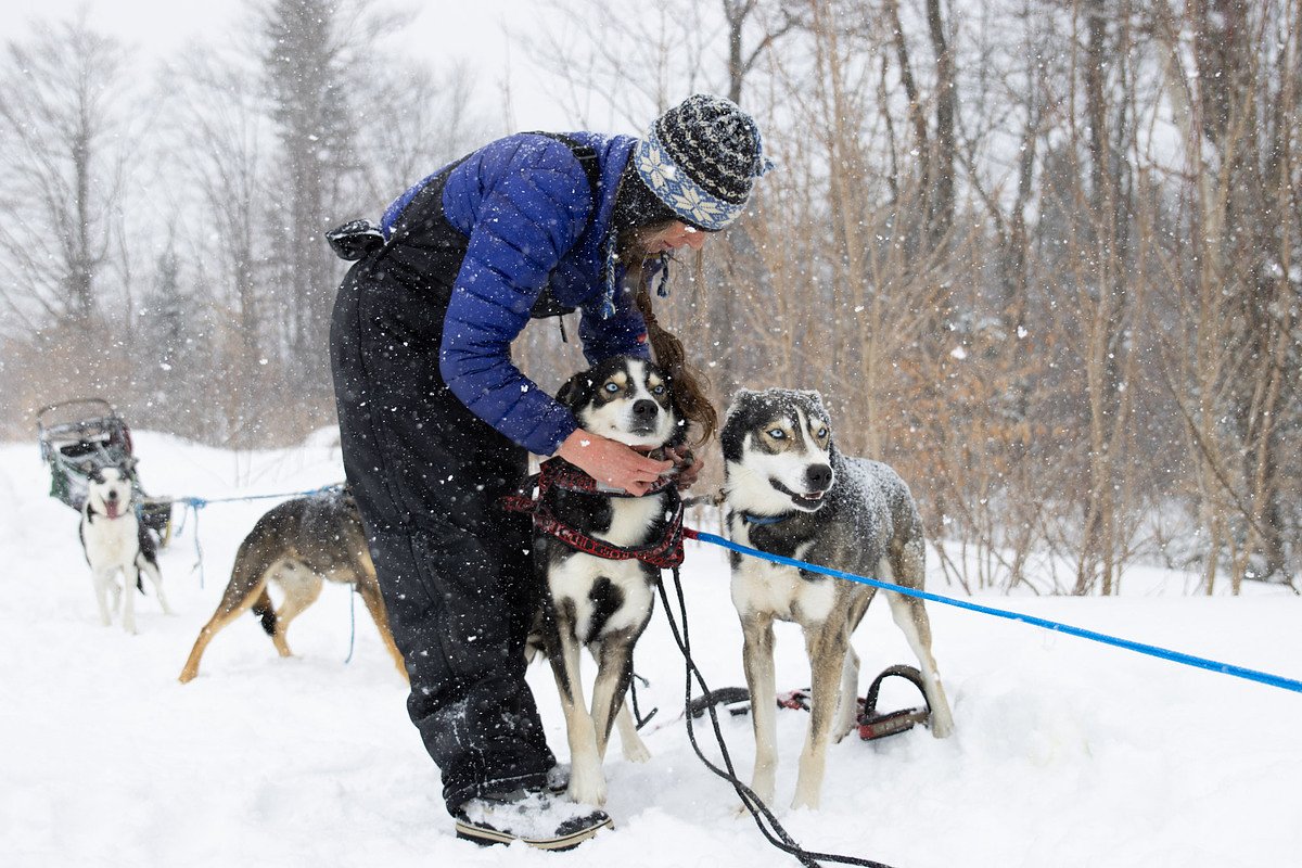 Racing the Can-Am takes time, discipline and a deep love of dogs