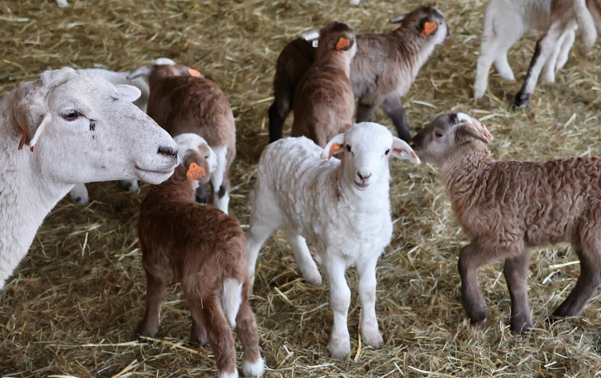 Morning Update: What you need to know in Maine today