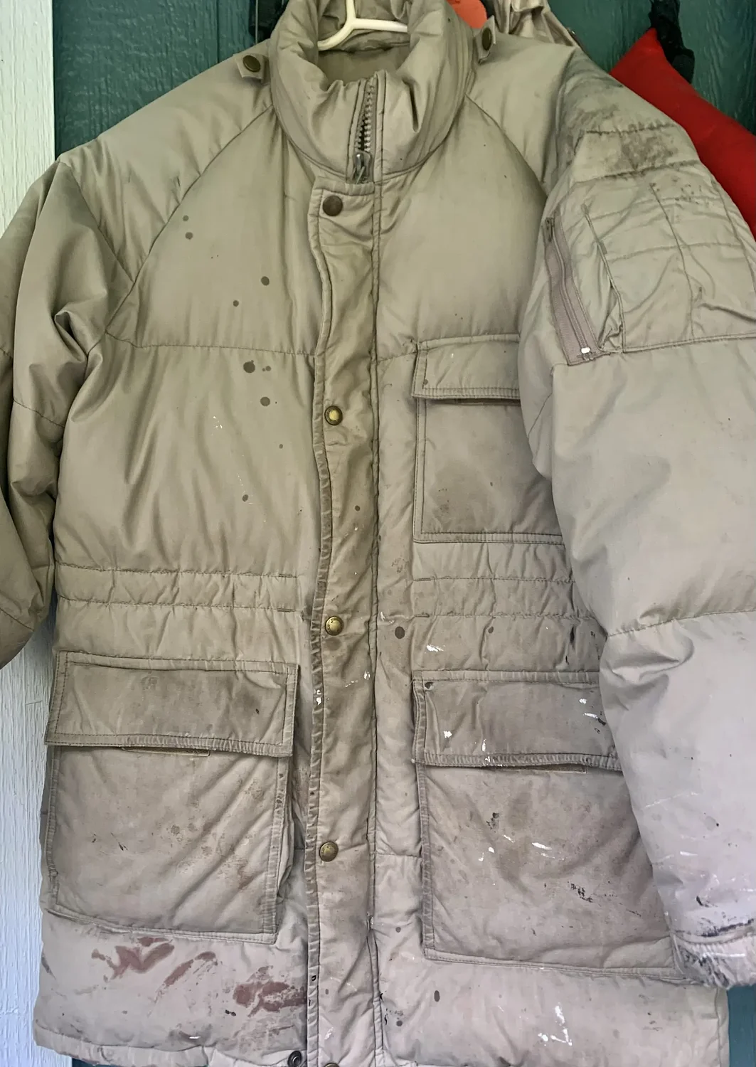 ‘If coats were like dog years, mine would be 280 years old’