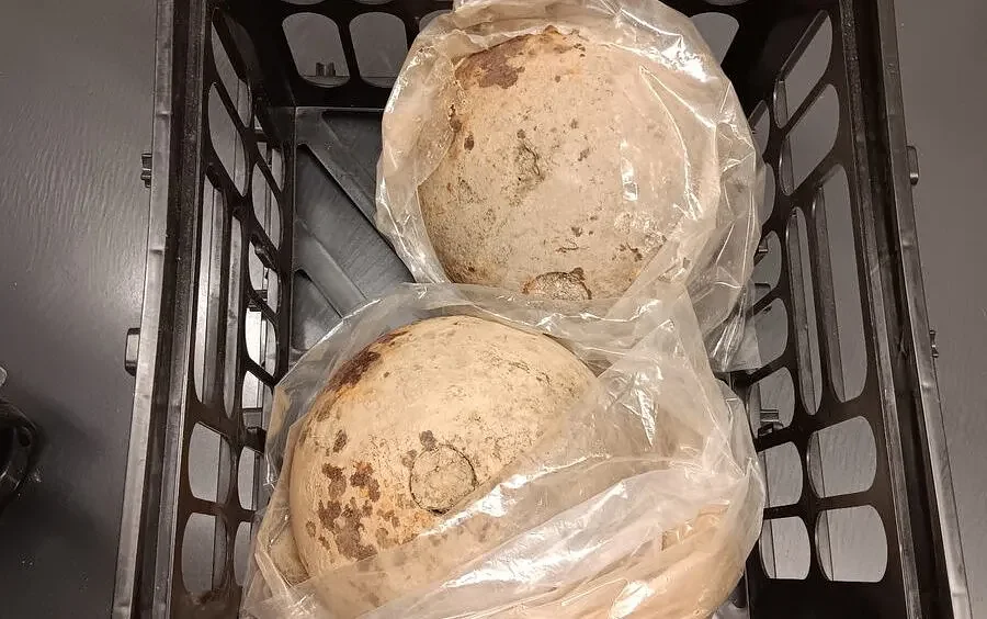 Bomb squad removes unexploded War of 1812 cannonballs from Maine historical society