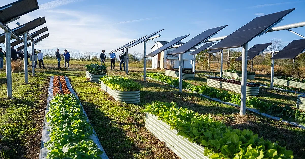Tech Briefs: Virginia adds a new term, agrivoltaics, to its code of laws