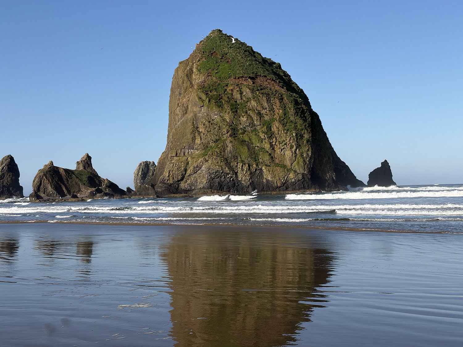 Perennial poop contamination near top Oregon coast attraction may end with this fix