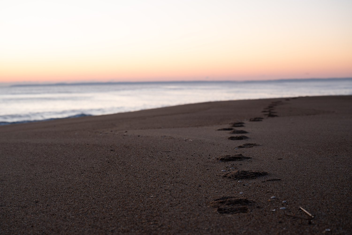 These Mass. beaches are closed Thursday, June 18