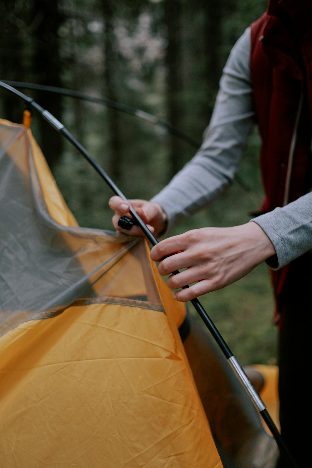 Sharing the outdoors