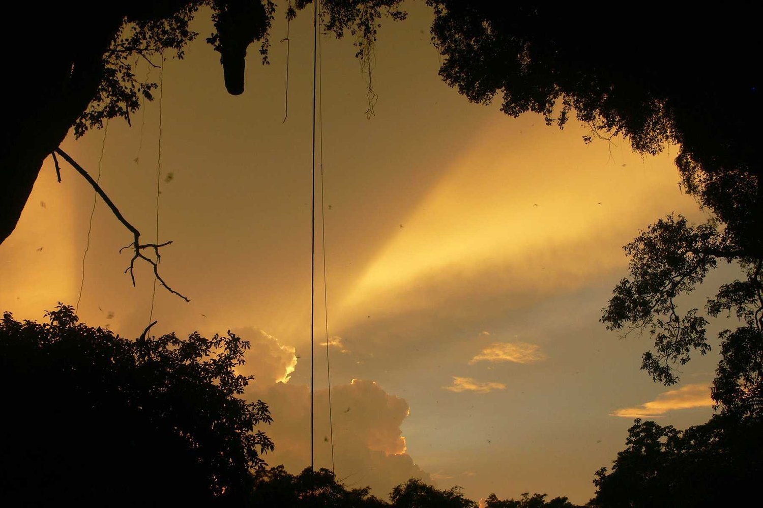 Another missing database? EcoHealth project in Southeast Asia is under construction